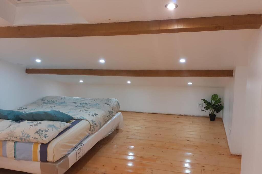 Pibrac Appartement La Joie Dans Quartier Chic מראה חיצוני תמונה