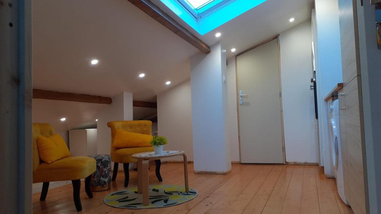 Pibrac Appartement La Joie Dans Quartier Chic מראה חיצוני תמונה